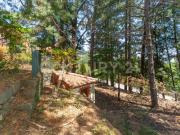 Villa indipendente PLURILOCALE in affitto a Linguaglossa Ct