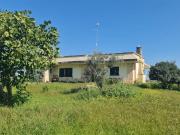 Villa interamente ristrutturata con ampio giardino 217m²...