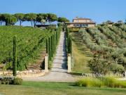 Villa La Maremma tenuta di lusso con vigneti Toscana...