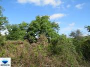 villa Leiria Alvaiázere 3250 DS98918433