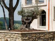 Villa Lisciano Niccone Perugia ES91462291