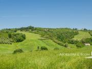 Villa Lo Stemma del Conte, Castagneto Carducci, Livorno...