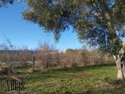 Propriété avec 2 villas de plain pied avec piscine et...