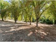 Villa lujo con Bosque privado, Piscina y Pista Tenis