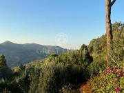 Villa Monte Argentario Grosseto DLS82137751