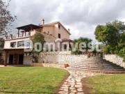 Villa PLURILOCALE in affitto a Capalbio Gr