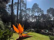 villa premium Valle de Bravo