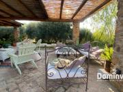 Villa QUADRILOCALE in affitto a Capalbio Gr