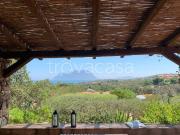 Villa singola in affitto a Olbia viale Porto Istana, 90