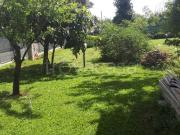 Villa singola in affitto a Sabaudia via Litoranea