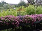 Villa singola in vendita a Bari, Palese