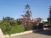 Villa singola in vendita a Bari strada Cangiano, 8, Fesca