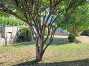 Villa singola in vendita a Bozzano, Massarosa