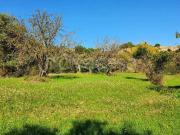 Villa singola in vendita a Caltanissetta via Xiboli No...