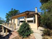 Villa singola in vendita a Camaiore