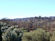 Villa singola in vendita a Capena