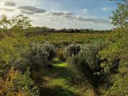 Villa singola in vendita a Castel Gandolfo via di Santa...