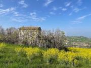 Villa singola in vendita a Castelvetro di Modena via...