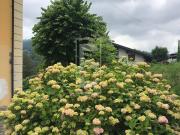 Villa singola in vendita a Cerano d'Intelvi