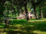 Villa singola in vendita a Cetona