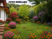 Villa singola in vendita a Coccaglio