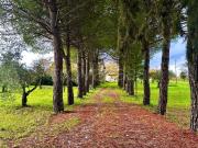 Villa singola in vendita a Ferrazzano