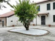 Villa singola in vendita a Fiesso Umbertiano via Trieste
