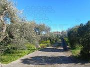 Villa singola in vendita a Messina, Ortoliuzzo San Saba