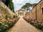 Villa singola in vendita a Mira