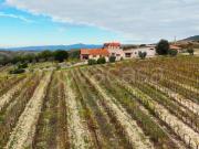 Villa singola in vendita a Montecchio via Pilli, snc