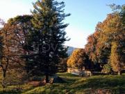 Villa singola in vendita a Montepiatto, Torno