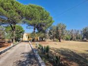 Villa singola in vendita a Oria