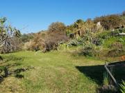 Villa singola in vendita a Ricadi