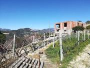 Villa singola in vendita a San Biagio della Cima