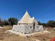 Villa singola in vendita a San Vito dei Normanni