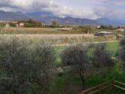 Villa singola in vendita a Sarzana