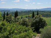 Villa singola in vendita a Terricciola