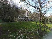 Villa singola in vendita a Vecchiano, Avane