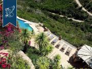 Villa singola in vendita ad Arzachena