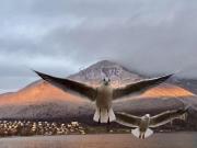 Villa sur les toits. Terrasse de 60m2. Vue lac 180°. VIAGER