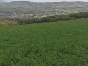 Villa t4 terrain 400 m²