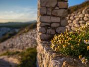 Villa type bergerie T3 70m2 Résidence neuve BACCOSA...