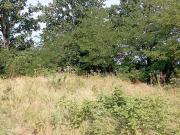 Villa unifamiliare in vendita a Asti