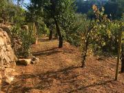 Villa unifamiliare in vendita a Carrara, La Foce