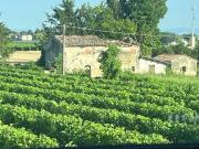 Villa unifamiliare in vendita a Forli'