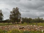 Villa unifamiliare in vendita a Mazara Del Vallo