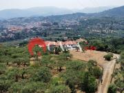 Villa unifamiliare in vendita a Patti