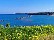 Villa unifamiliare in vendita a Trani
