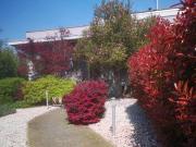 Villa unifamiliare in vendita a Vigevano