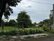 VILLA VIENNA LOT FOR SALE